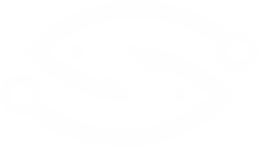 CatchTrack Logo